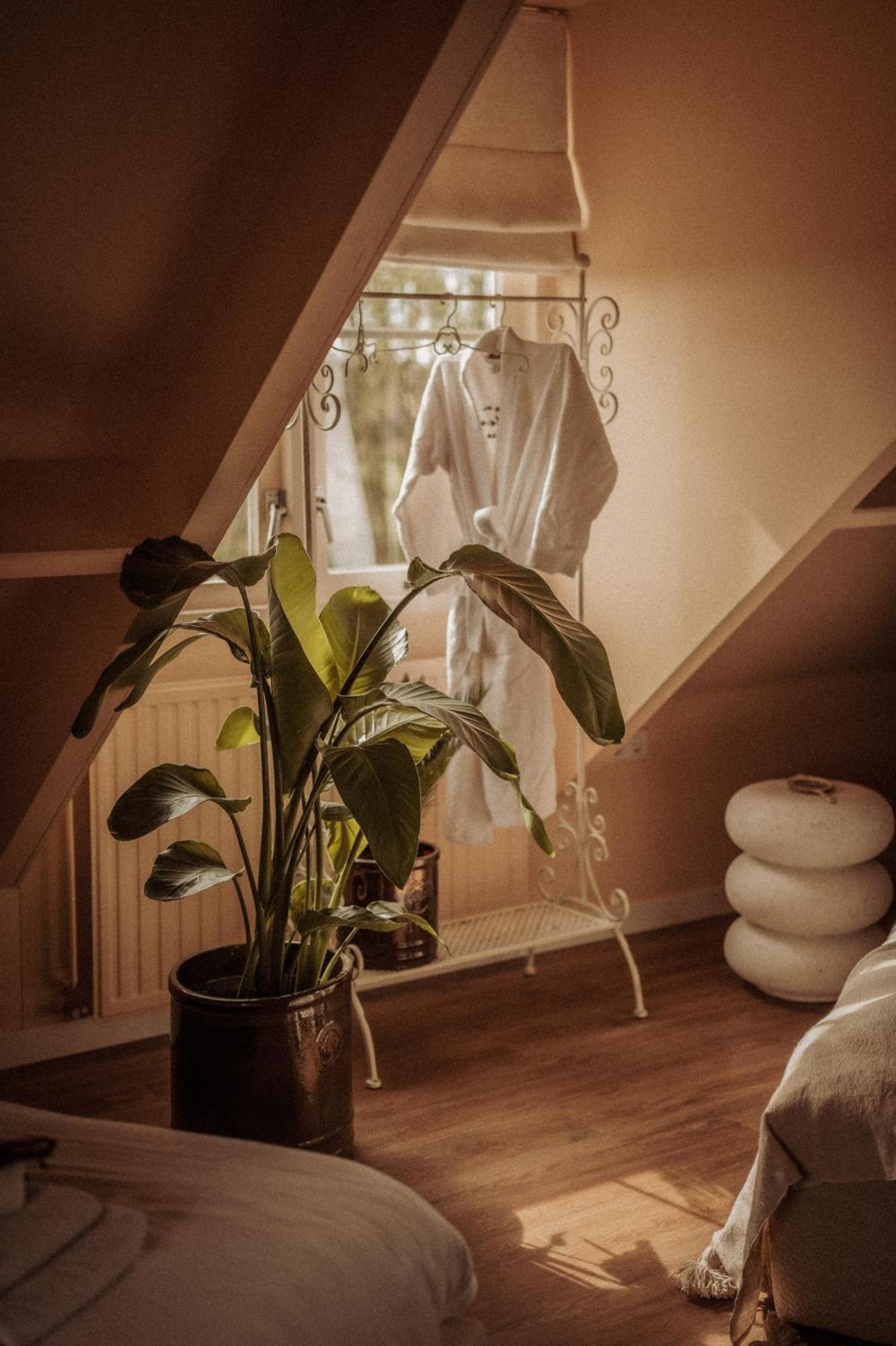 Maison Bellefleur B&B - Pension Ренессе Экстерьер фото